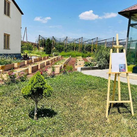 Green Training Center Dzoraghp'yur ภายนอก รูปภาพ